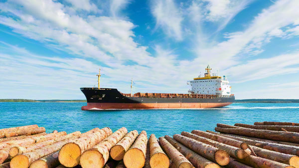 破解马来西亚及东南亚清关难题，路邦递提供一站式木材进口解决方案